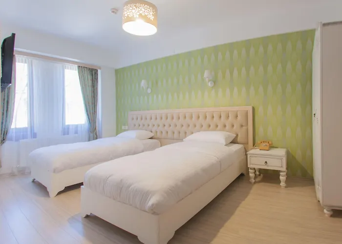 1inci Maison d'hôtes Sakarya (Marmara)