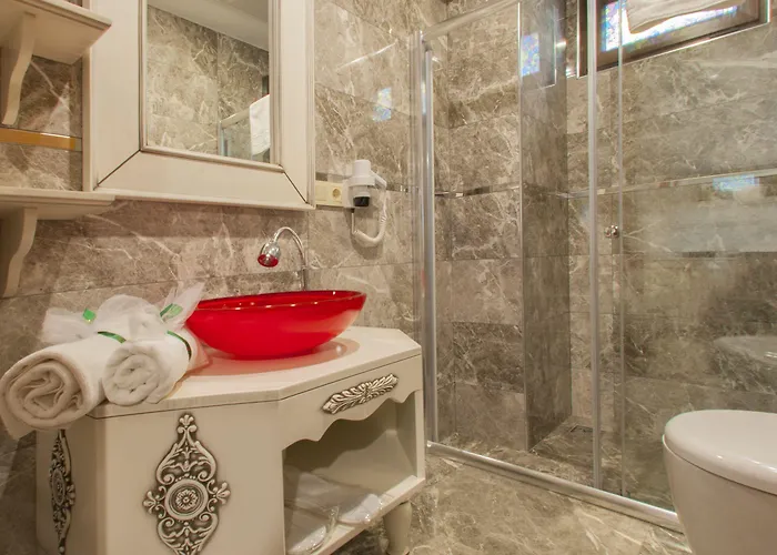 1inci Maison d'hôtes Sakarya (Marmara)