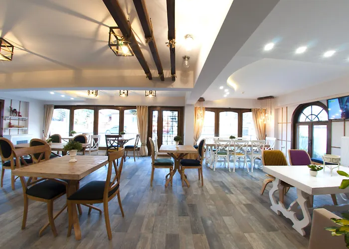 1inci Maison d'hôtes Sakarya (Marmara)