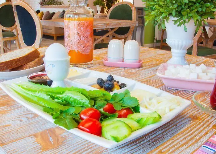 Maison d'hôtes 1inci Sakarya (Marmara)