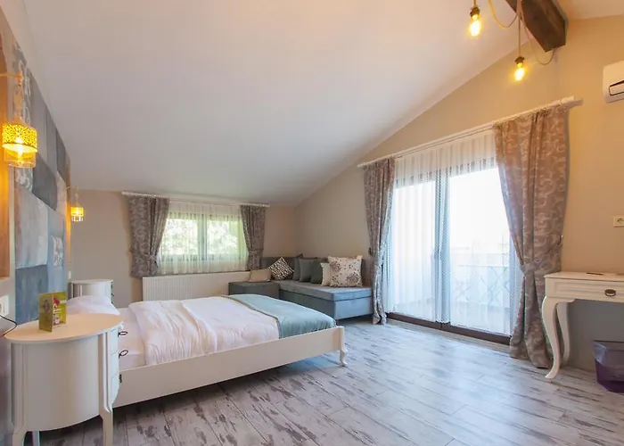 1inci Maison d'hôtes Sakarya (Marmara)