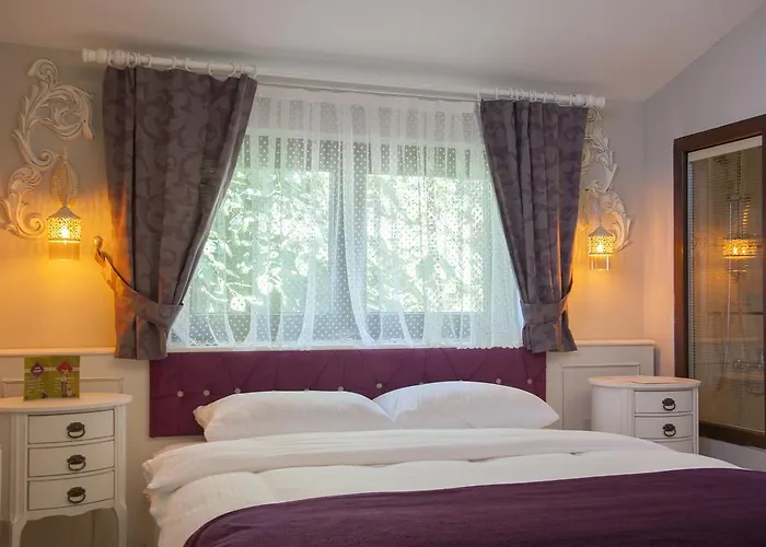 Maison d'hôtes 1inci Sakarya (Marmara)