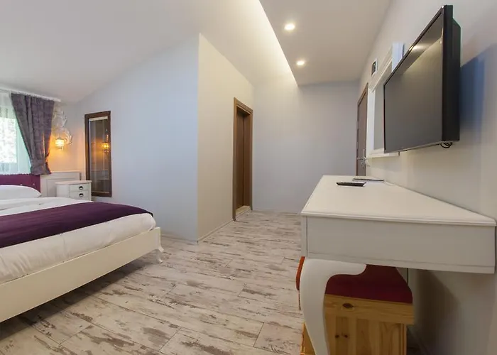 Maison d'hôtes 1inci Sakarya (Marmara)